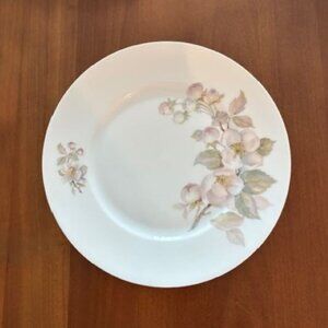 Bavaria Tirschenreuth Hand-painted Porcelain Plate - Apple Blossom - 10 Inches
